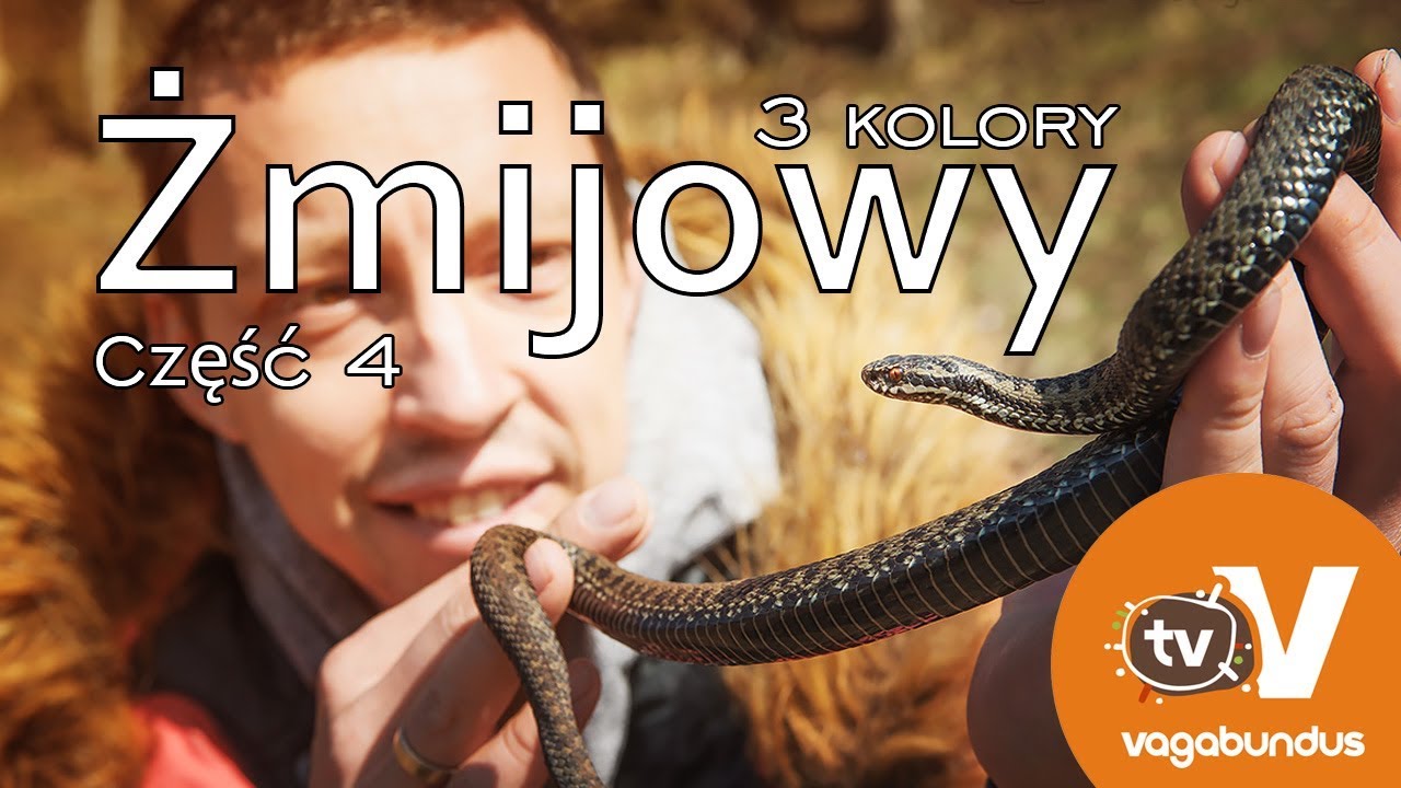 Trzy kolory - 