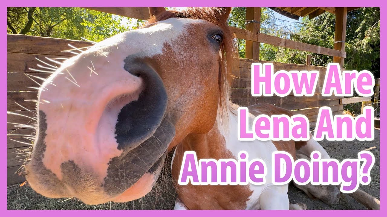 How Lena And Annie Are Doing Together