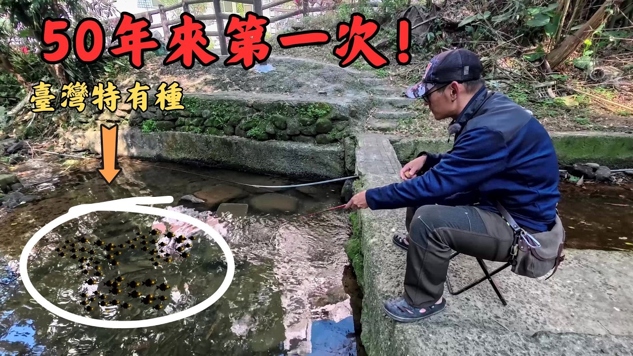 🔥在汐止生活50年才發現😱！差點忽視的小山溪🎣，一查竟然讓我「感動落淚」？最美風景在轉角。｜Maxcatch｜勇作｜永裕｜微物釣｜幸釣二三四｜#fishing #fishinglife #熱門