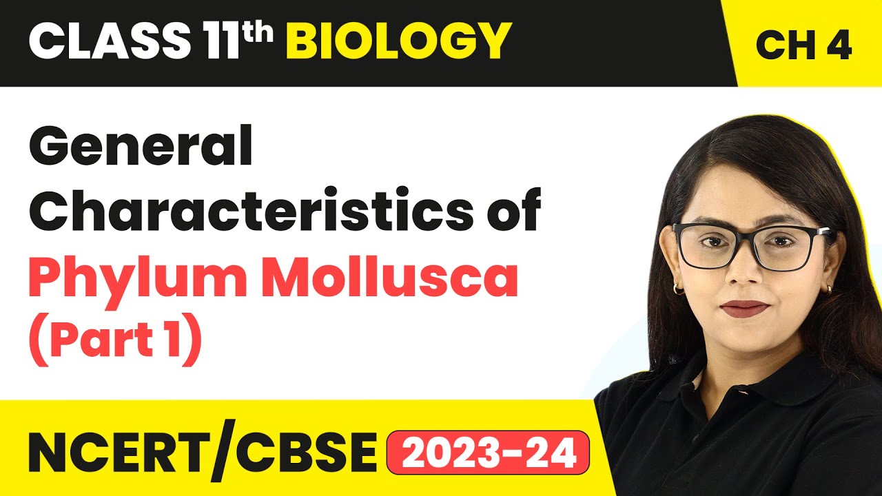 General Characteristics of Phylum Mollusca (Part 1) | Class 11 Biology Chapter 4 | NCERT/CBSE