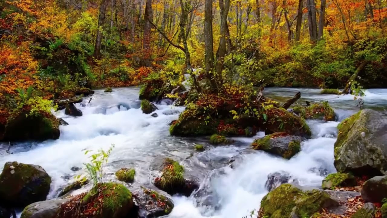 Pure Organic Waterfall White Noise 🌊 Block Out Distractions & Sleep Better (Natural Sleep Aid)