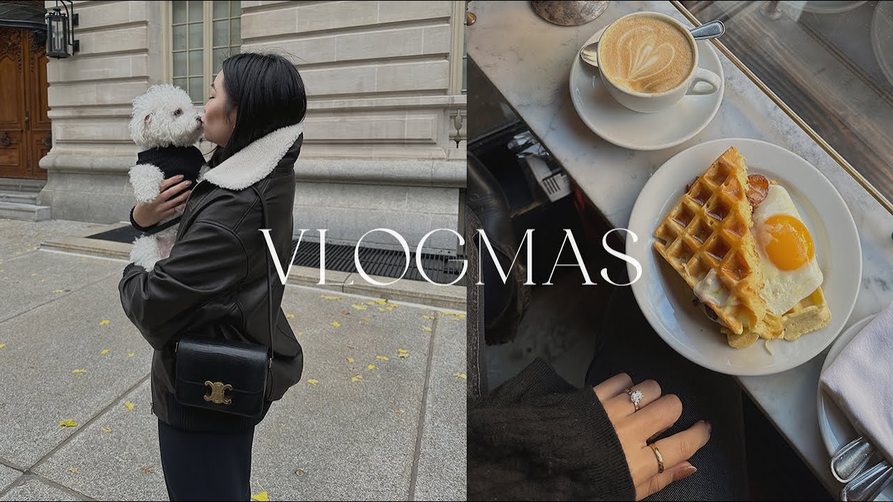 VLOGMAS: MAKING A GINGERBREAD HOUSE & HOLIDAYS IN THE CITY | ALYSSA LENORE