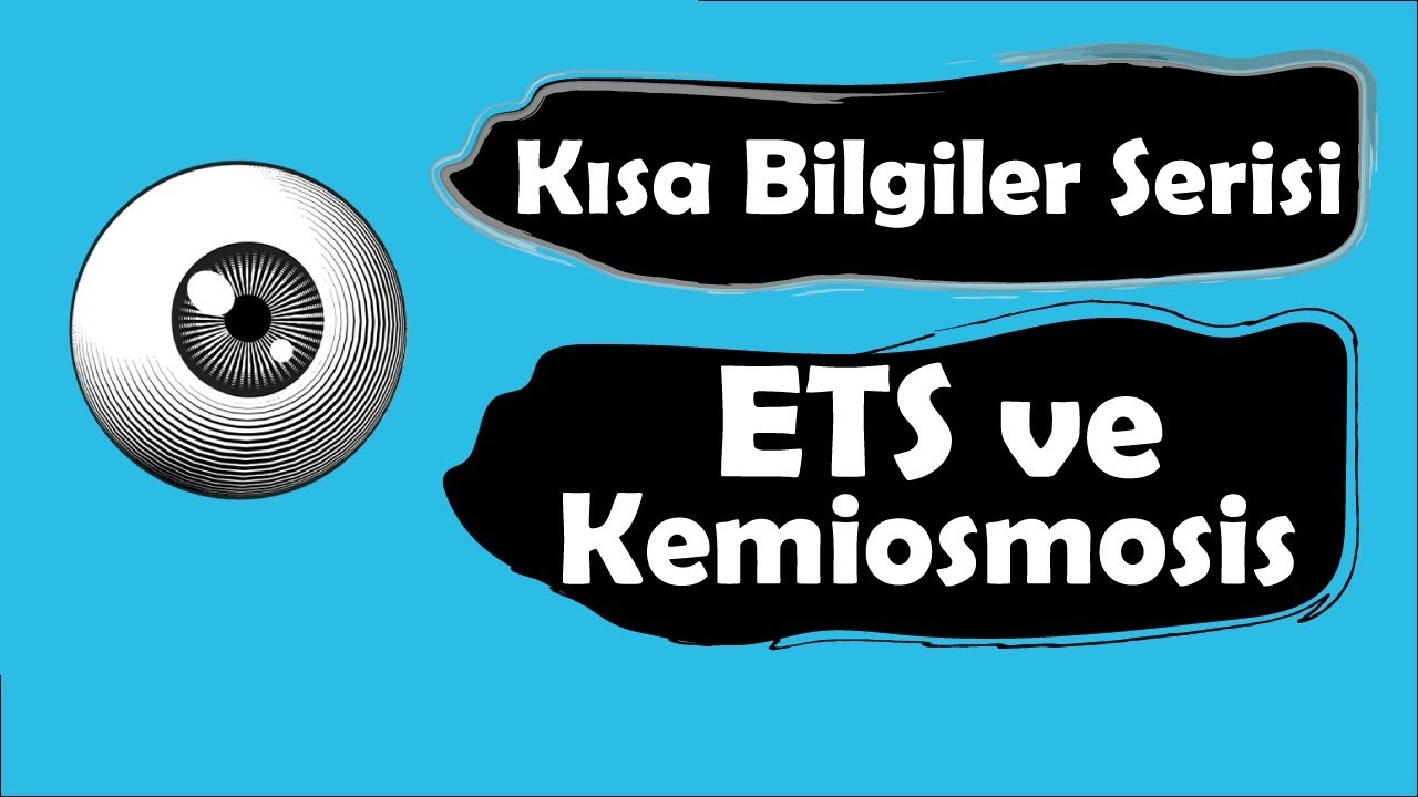ETS ve Kemiozmotik Hipotez (AYT Kısa Bilgiler Serisi)