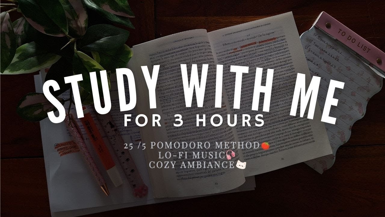 3 Hour Study With Me 📚 | 25/5 Pomodoro, Lofi Music & Cat Cameos 🐱