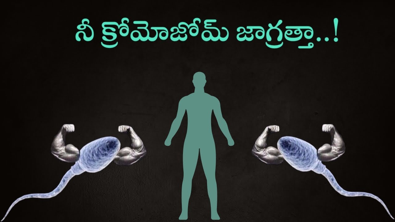 SCIENCE : Secrets of the Y chromosome || Chromosomes history || Think Telugu Podcast