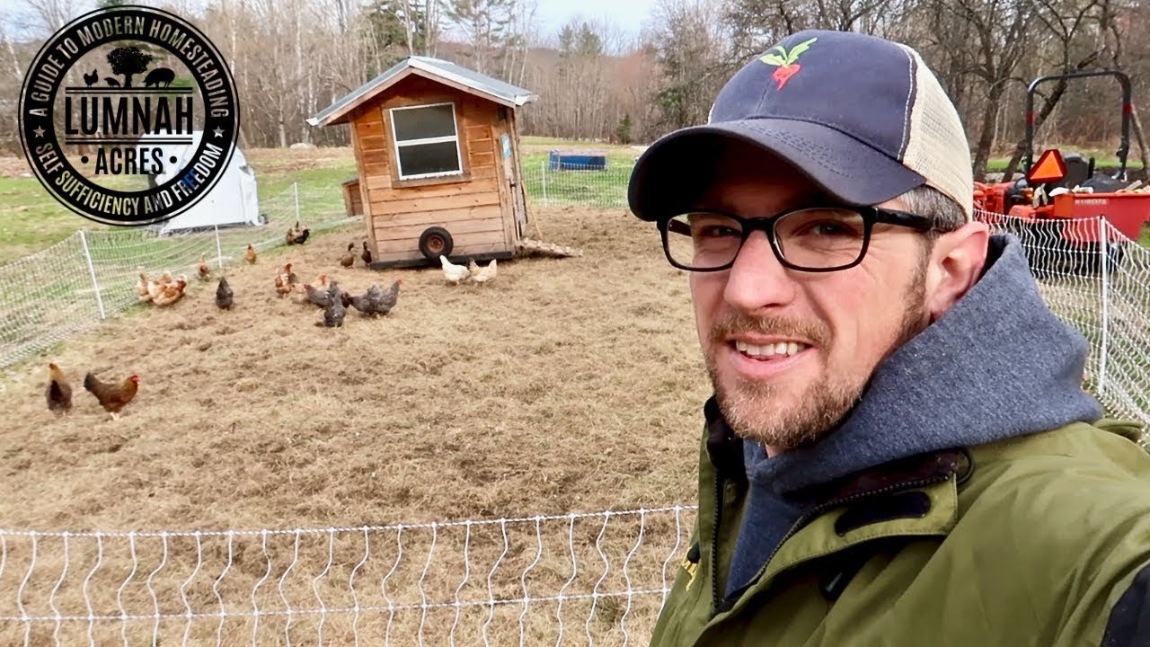You Won't BELIEVE what HAPPENED when we moved all the chickens to New Yolk City