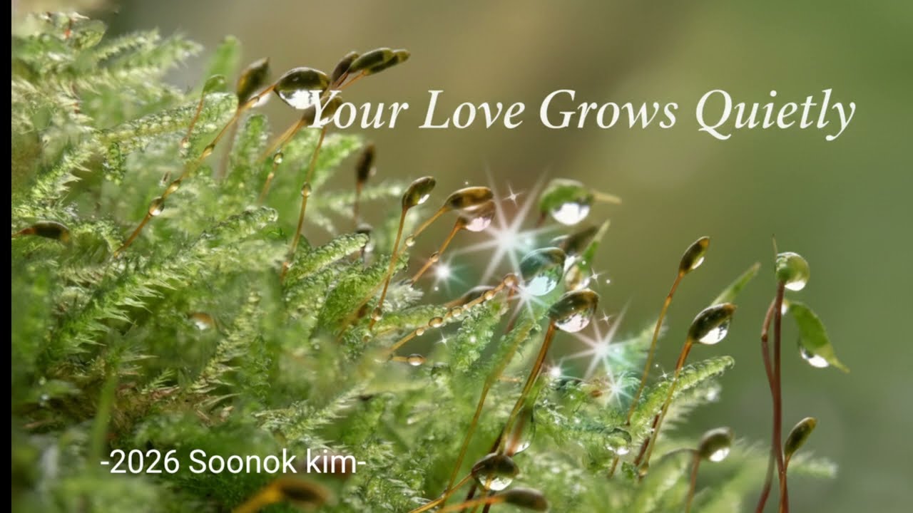 Your Love Grows Quietly