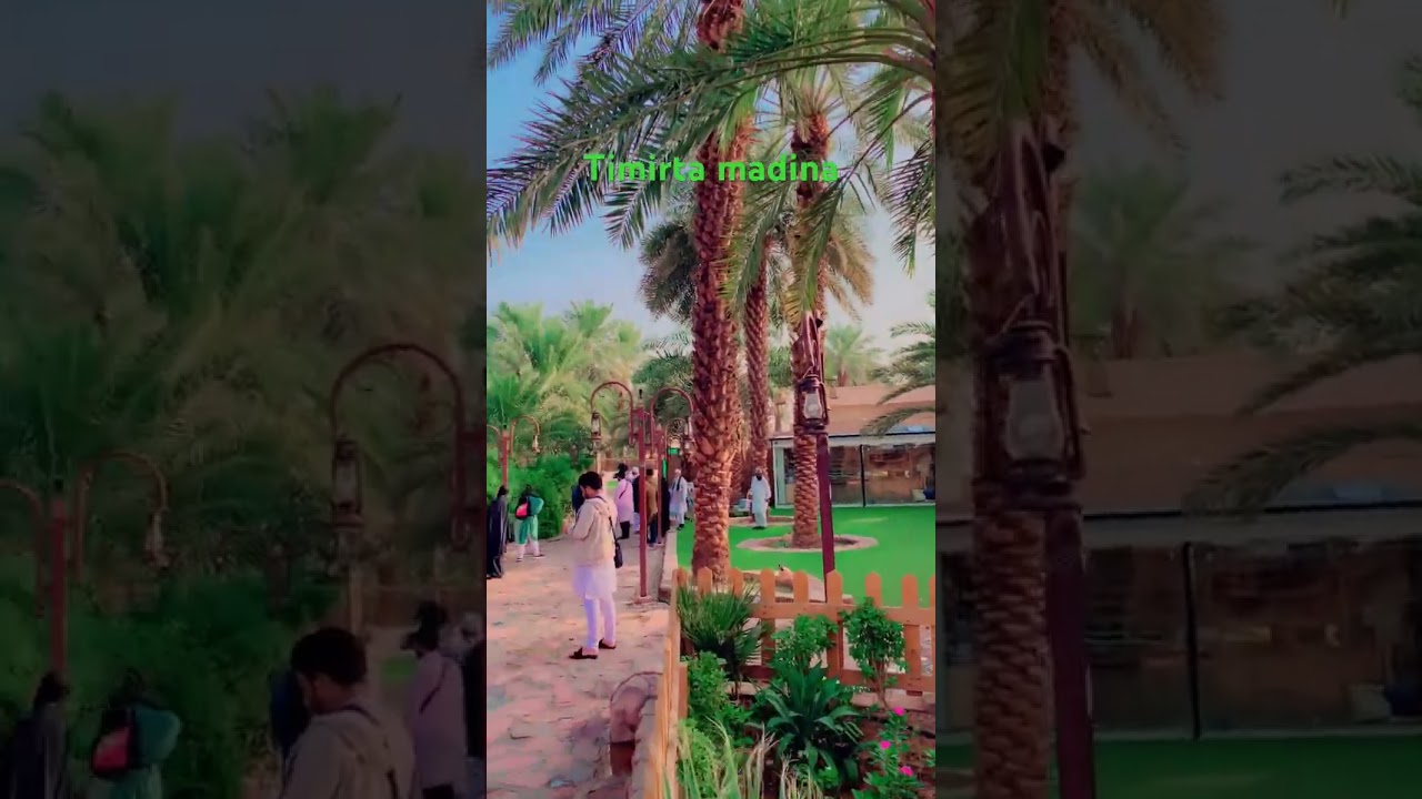 Timirta madina waa caafimaad