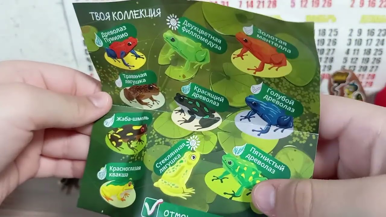 болото лягушки распаковки. 🐸