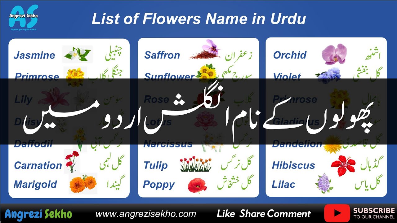 Flowers Name in Urdu Hindi | Flowers Vocabulary | پھولوں کے نام اردو انگلش میں