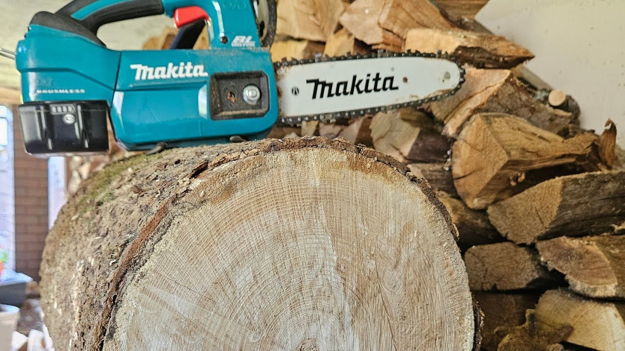 The Beast or a Toy? (Makita DUC254)