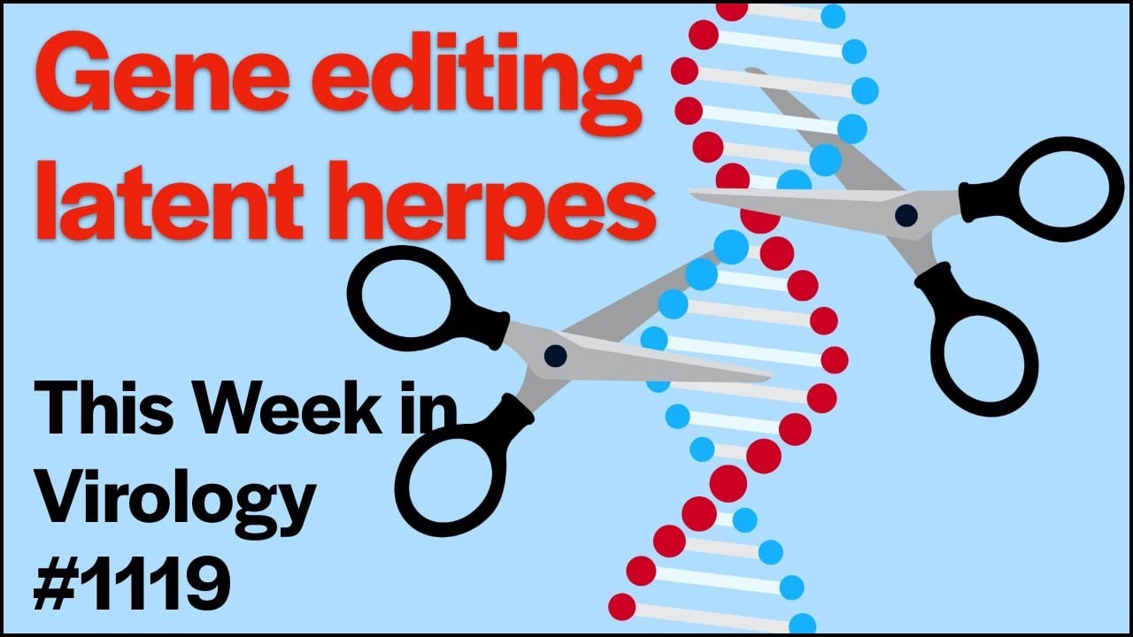 TWiV 1119: Gene editing latent herpes