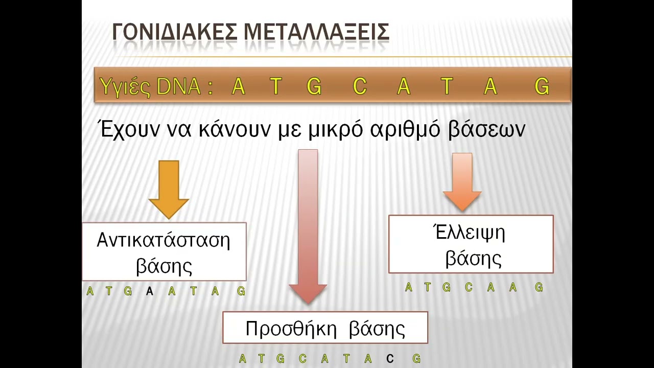 METAΛΛΑΞΗ = ΕΞΕΛΙΞΗ