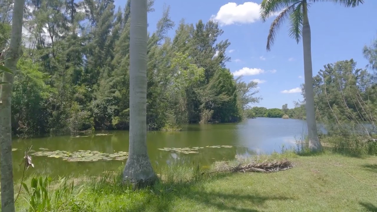 Relaxing walk at Lakes park