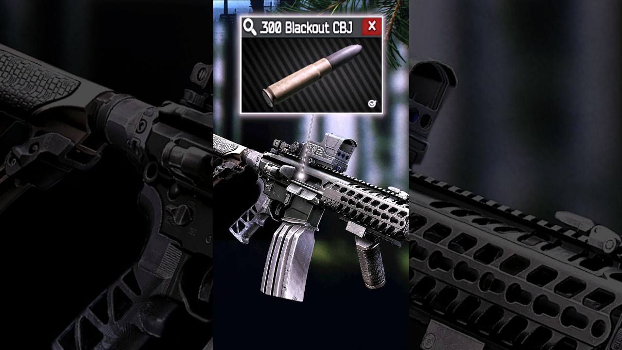 SIG MCX with CBJ Ammo (.300 Blackout)