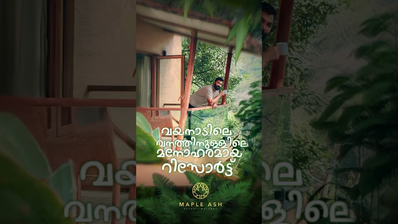 Best Resort in Wayanad | Maple Ash Resort #resort #wayanadresort #bestresorts #Wayanad #travelvlog