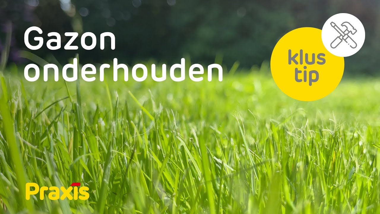 Gazon onderhouden | Klustip Praxis