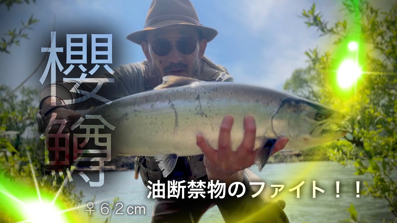 【2026年度に向け】子吉川・サクラ鱒、このルアーで釣れました。