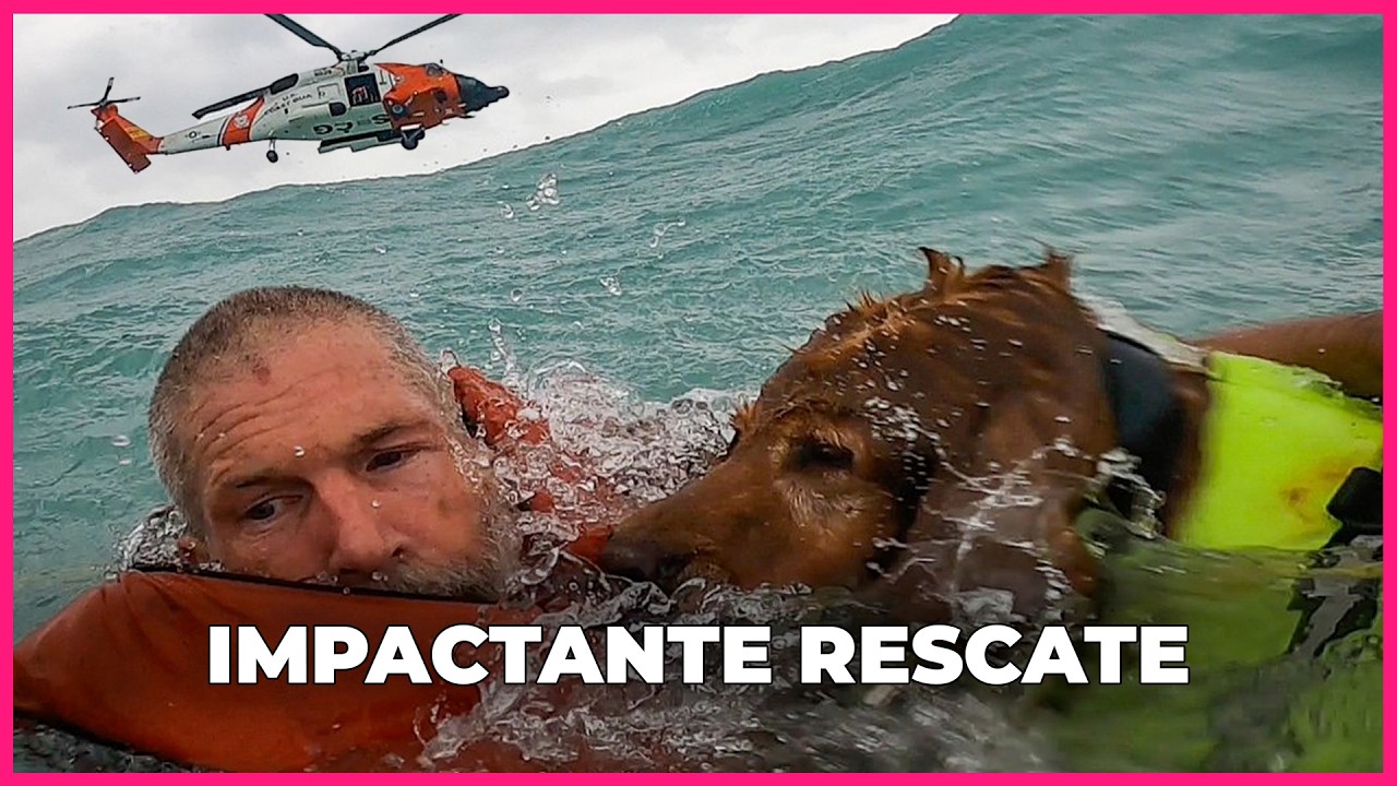 Impactante RESCATE de un hombre y su perro en ALTAMAR 🌊