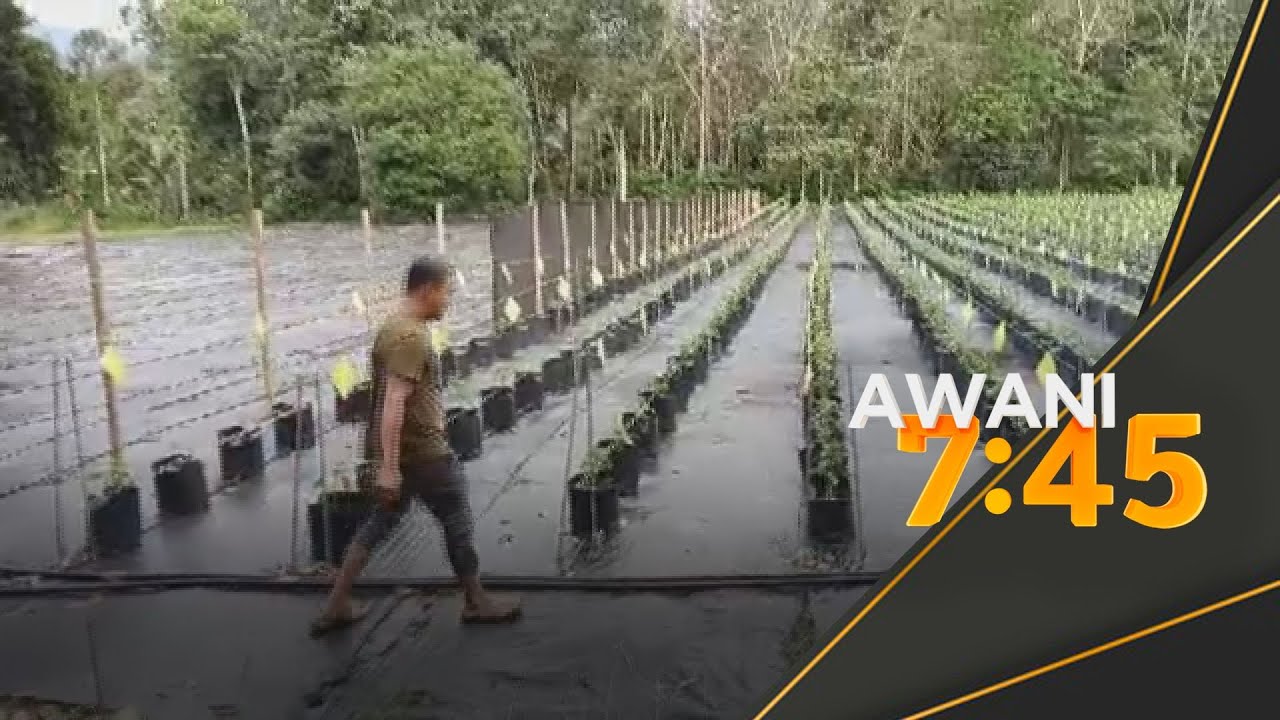 Buta huruf ke PHD, dari tirai besi kini jadi usahawan cili