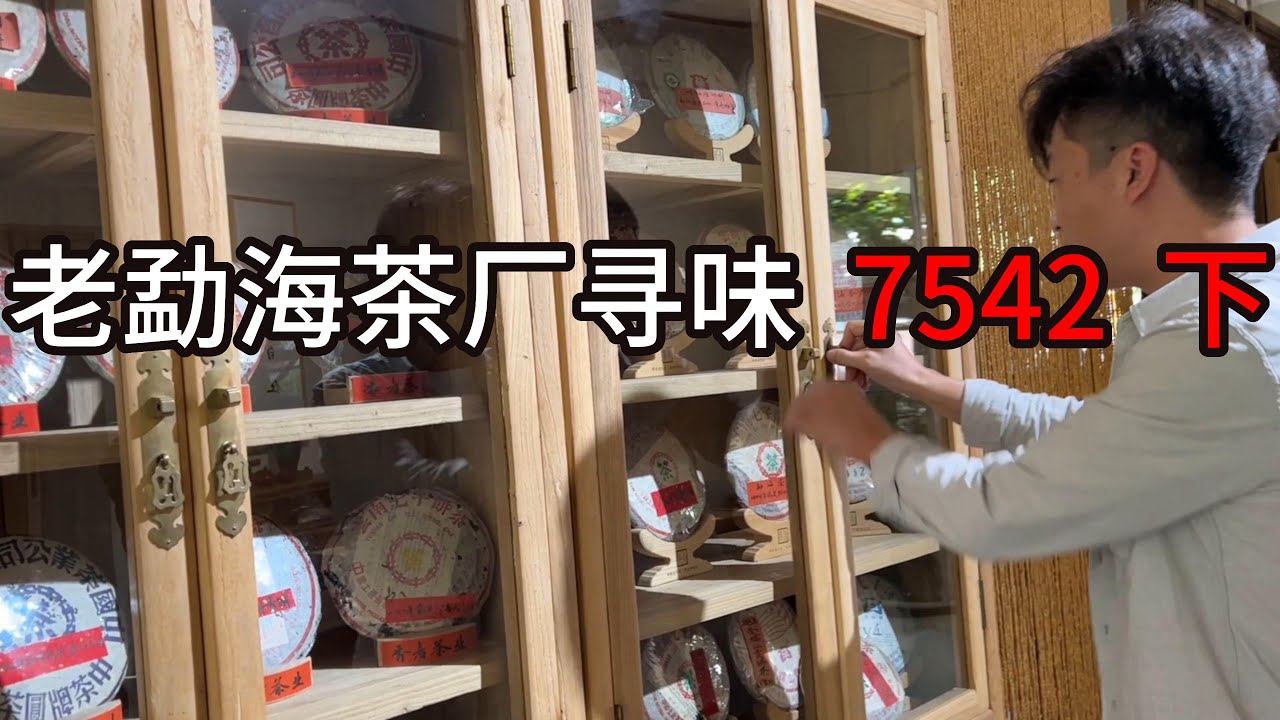 老勐海茶厂向毛主席献过茶的3代茶人 留存下来的7542 真假一眼辨出。购茶请添加微信/Line（同号）：730144#普洱茶#古树茶 #茶叶 #喝茶好处#品茶师#普洱老茶7542