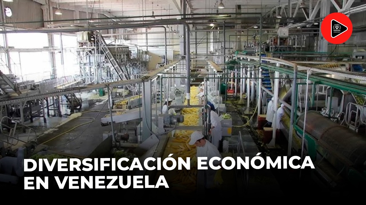 La diversificación económica del país | ¿Qué hay mas allá del petroleo?