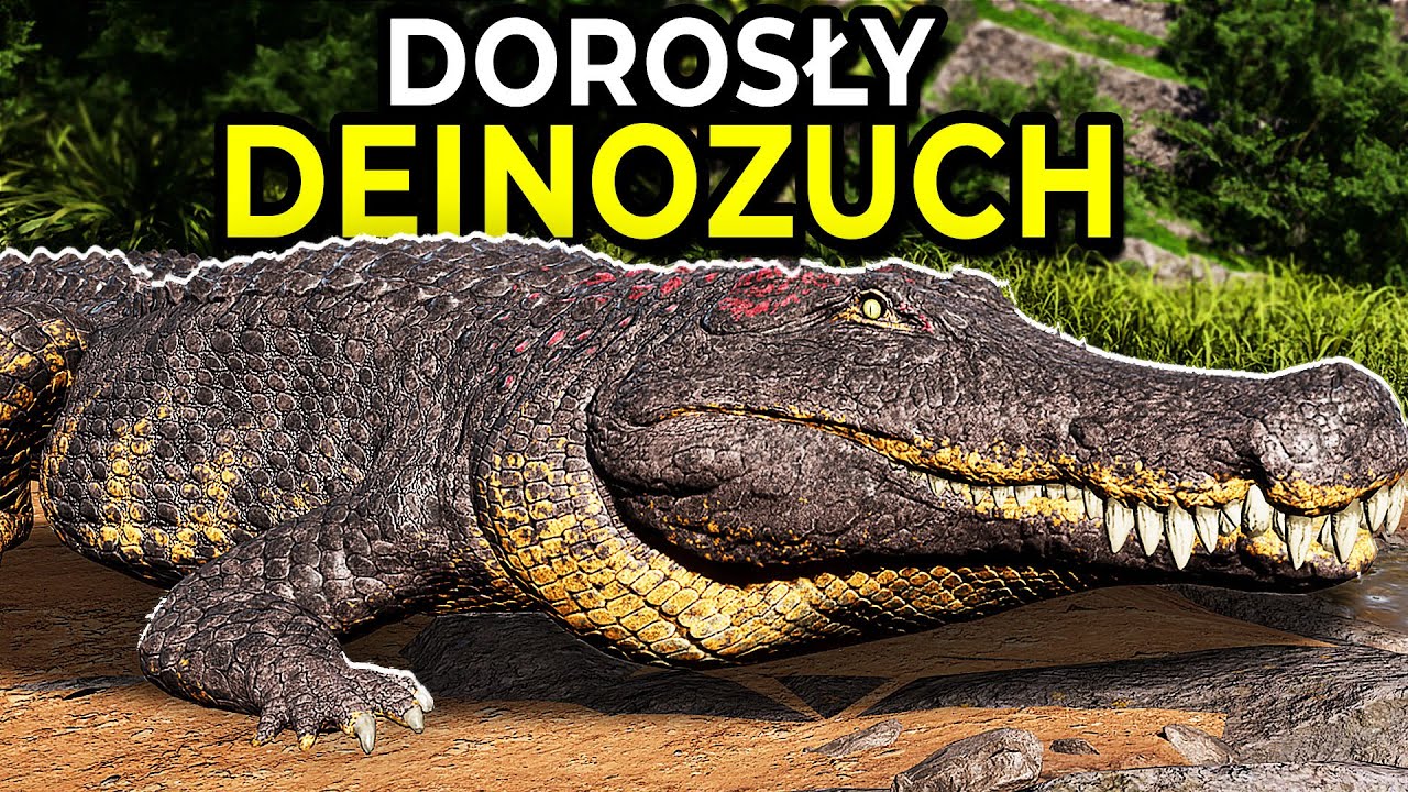 Od MAŁEGO DEINOZUCHA do OGROMNEGO POTWORA w The Isle Evrima