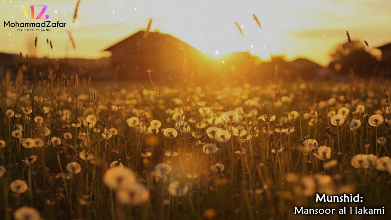 Allah Allah (Joyful Nasheed) | منصور الحكمي - التفوق | Mansoor al Hakami