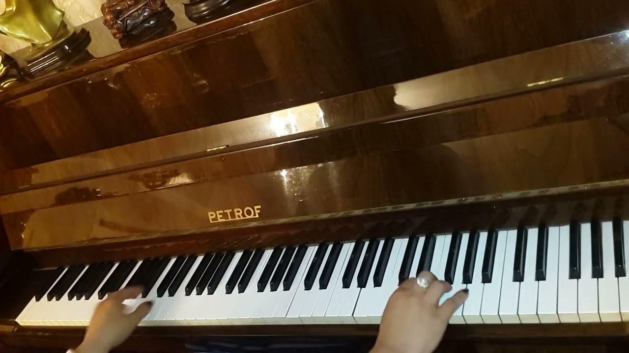 Arzu qızım - ifaçı Səməd Səmədov (piano cover)
