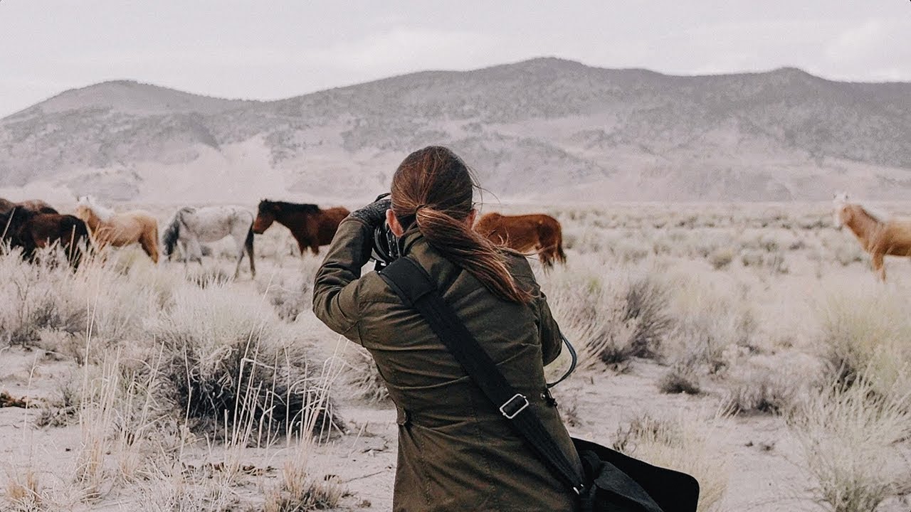 SmartAlbums Films | KT Merry &ldquo;A Wild Legacy&rdquo;