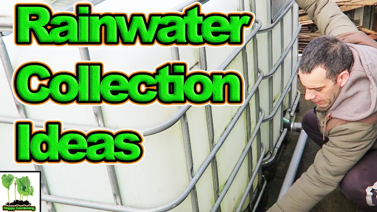 Rainwater Harvesting And Containment For Allotment Gardens