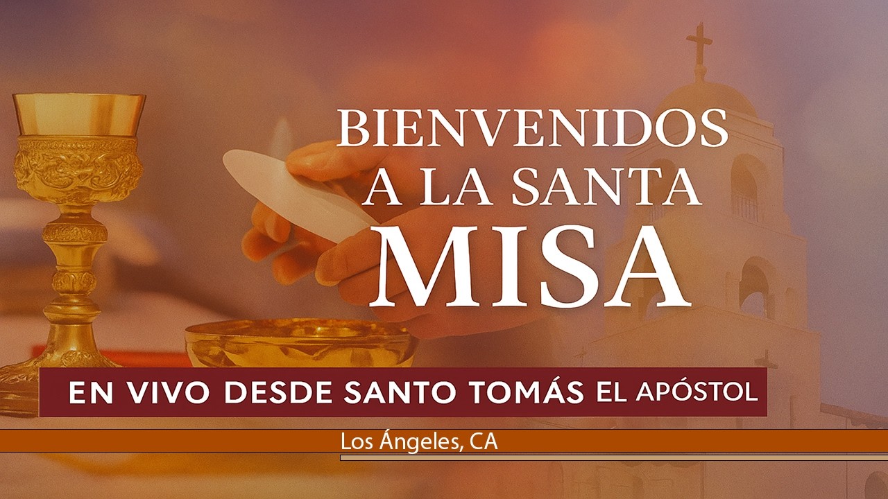 Santa Misa | VI Domingo Ordinario