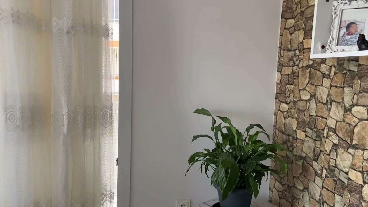 Filli boya aydan rengi (aydan rengi nasıl )filli boya renkleri