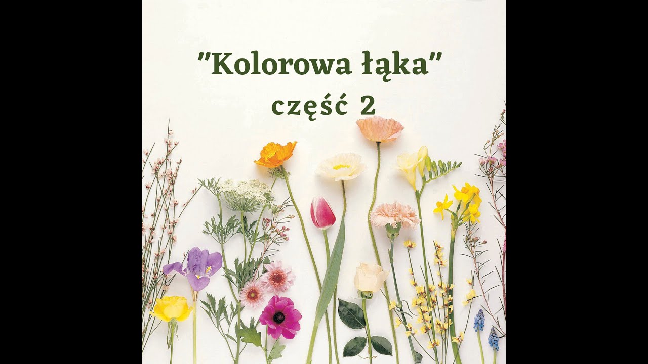 🎧 Kolorowa łąka cz.2 | MuzyKat | MUZYKALNIE DLA DZIECI
