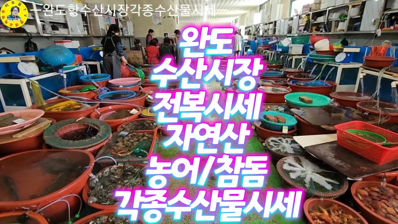 완도항 수산시장 회센터 각종 자연산 수산물 시세 만나보고 가세요! 견문록♡삶1688/Wando fish market, korea