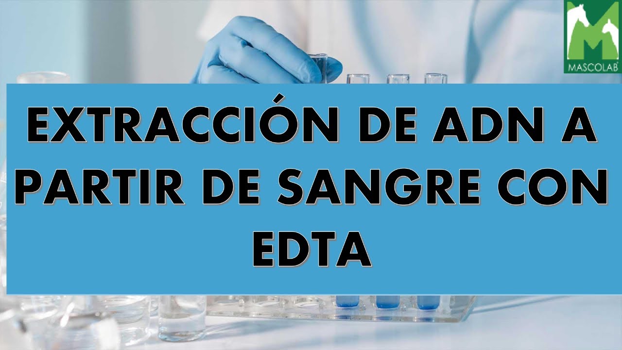 Extracción de ADN a partir de sangre con EDTA / Guía para emitir resultados PCR como DX in vitro