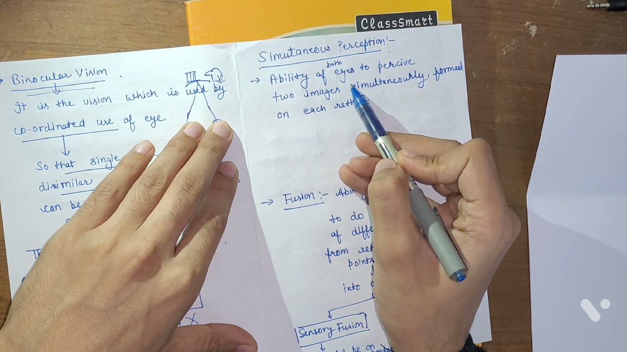 Binocular vision & Grades of binocular vision || Day 1