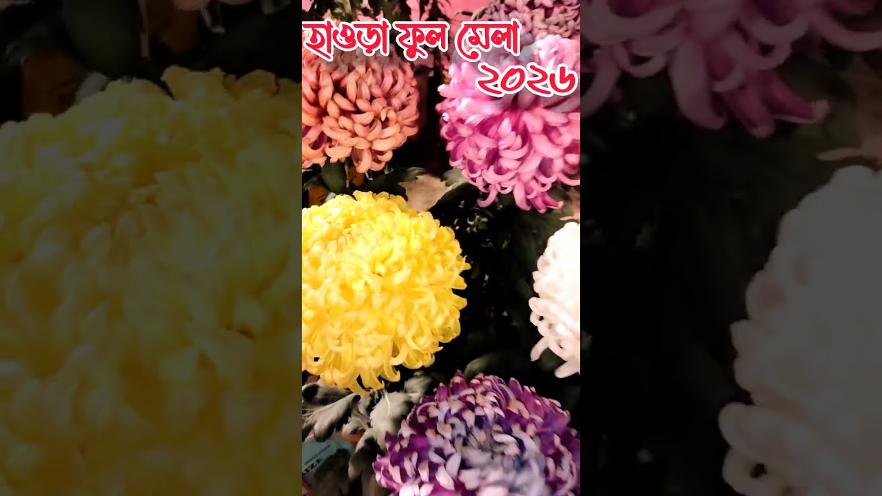 হাওড়া ফুল মেলা ২০২৬ - Howrah Ful Mela 2026 #howrah #হাওড়া 