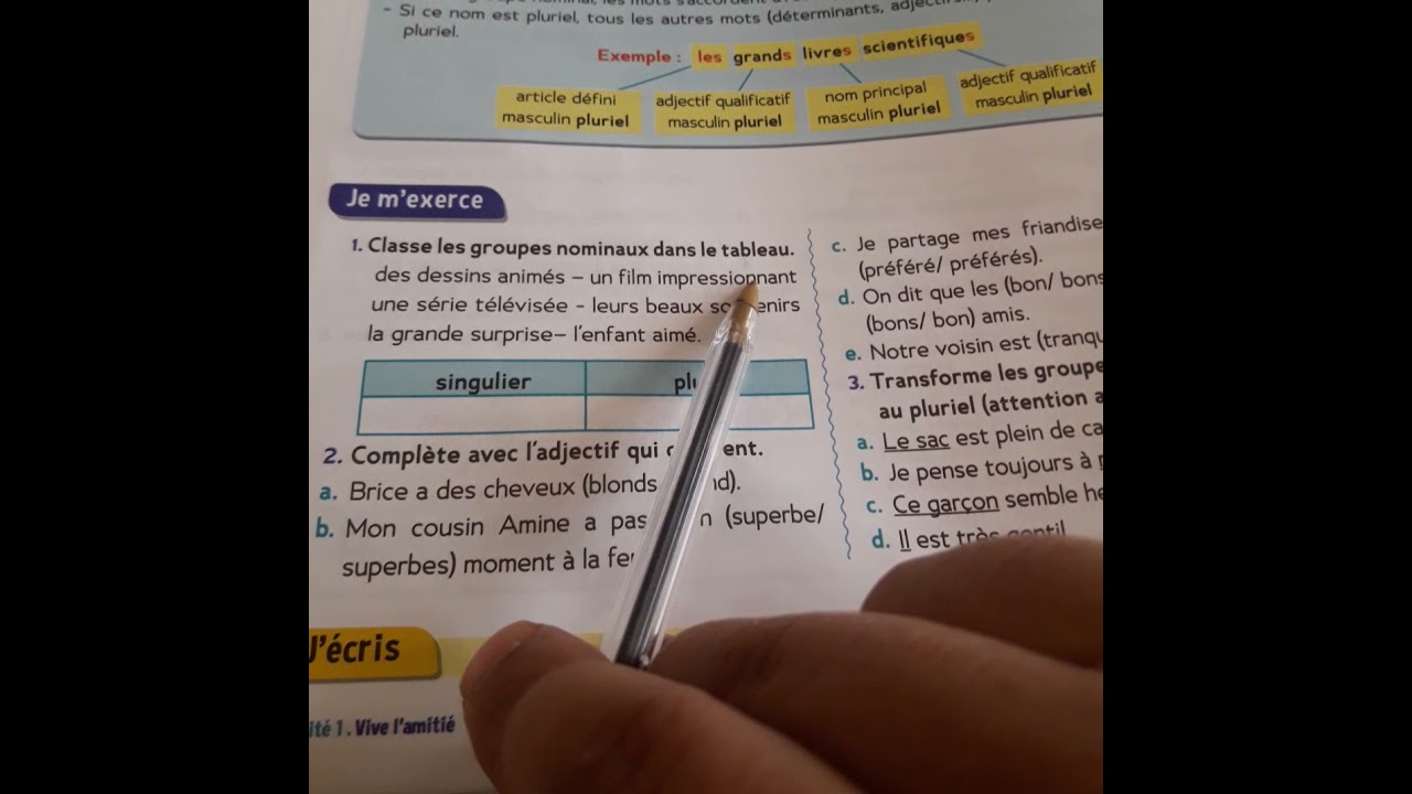 le trésor des morts cm1 orthographe l'accord dans le groupe nominal 2 page 28