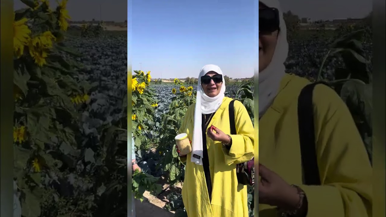 مزرعة جعفر السالم