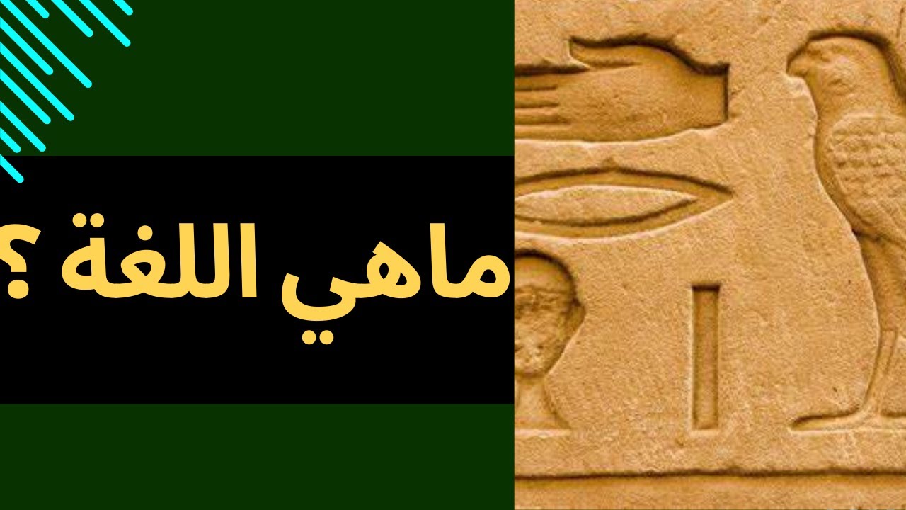 #فلسفة 📚 دروس الفلسفة 1 بكالوريا  | مفهوم اللغة | مدخل إشكالي للغة |