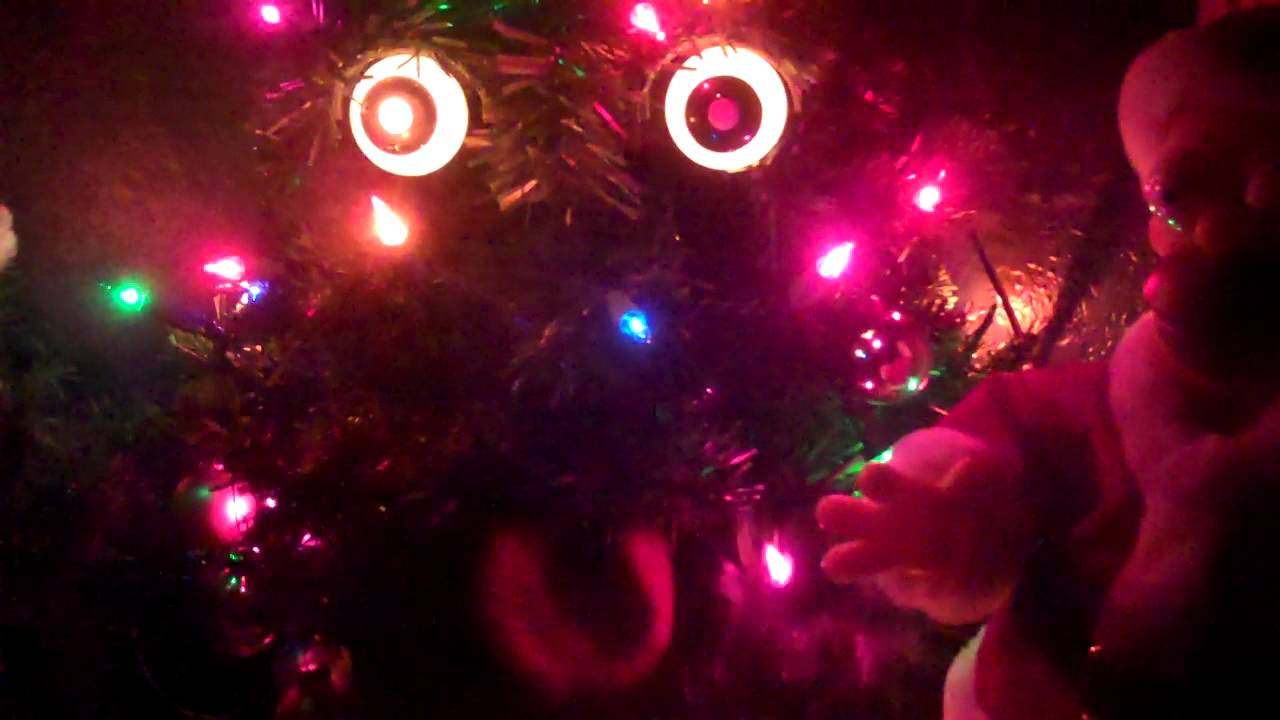 ***DOUGLAS FIR*** (Singing Christmas Tree)