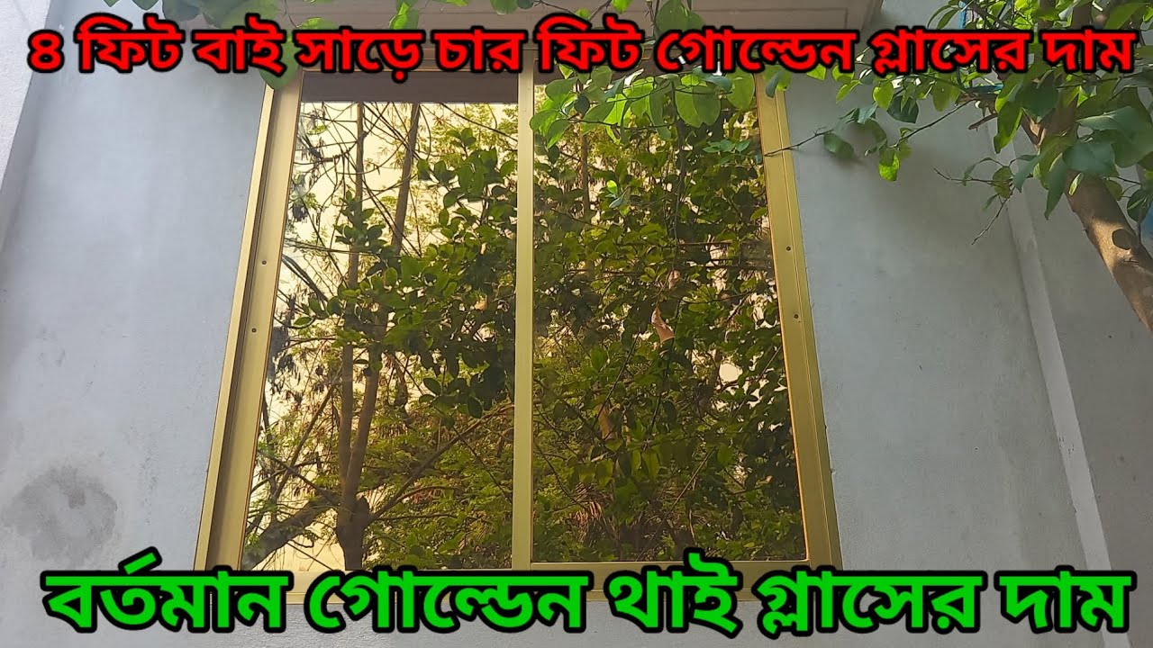 বর্তমান গোল্ডেন থাই গ্লাসের দাম জানুন। নাসির window glass price