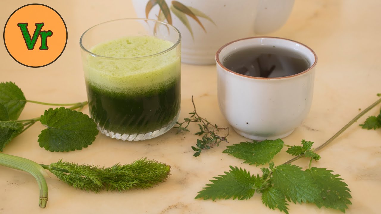Comment consommer les orties crues | Jus et infusion d’orties