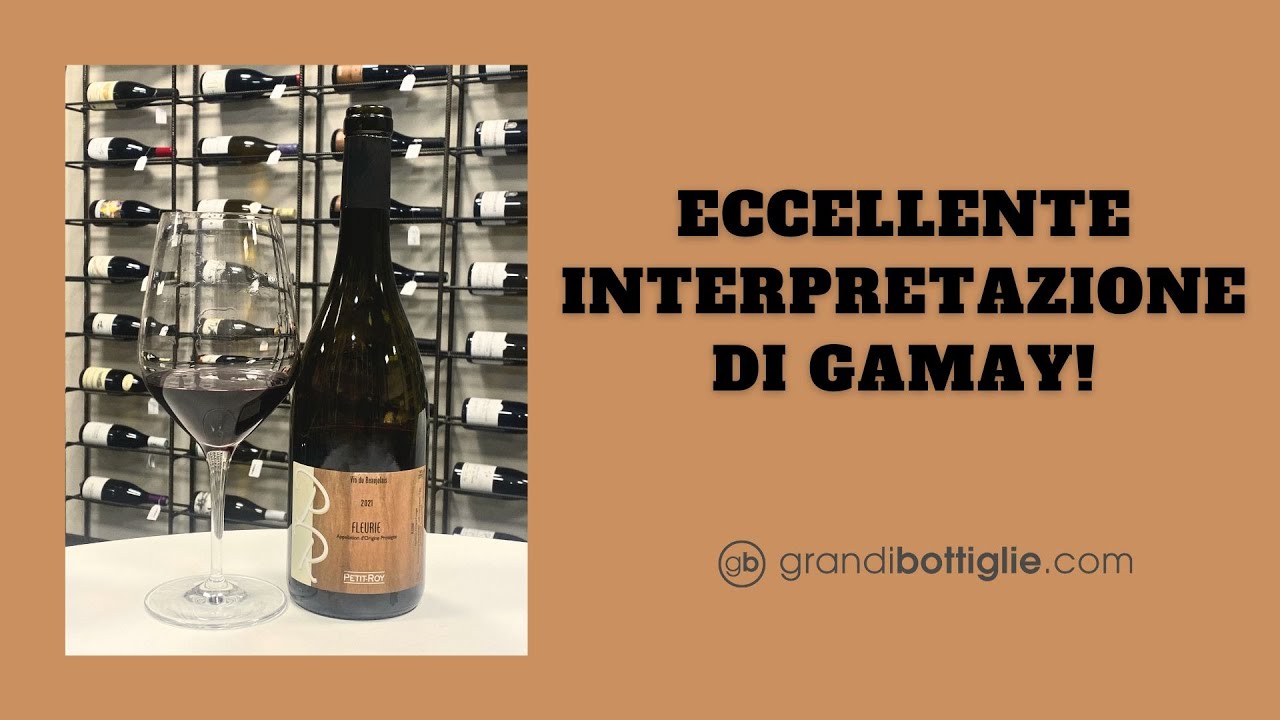 FLEURIE 2021 PETIT ROY: ECCELLENTE INTERPRETAZIONE DI GAMAY!