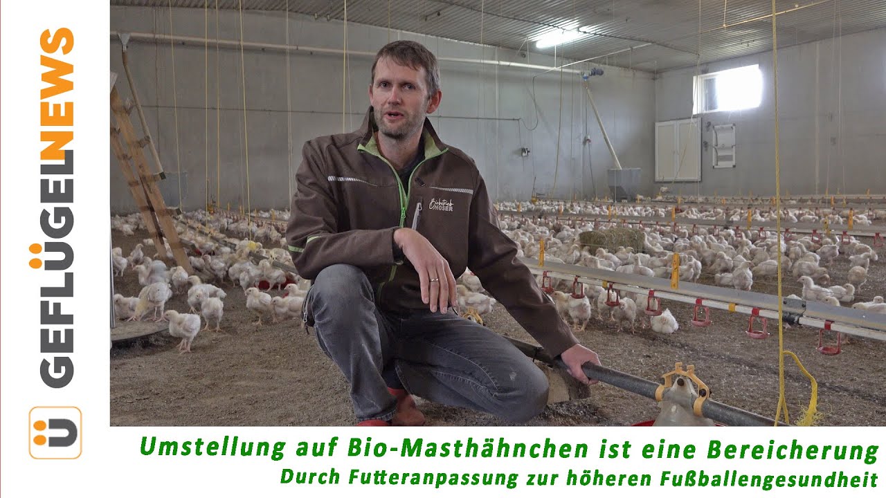 Umstellung auf Biobetrieb ist eine Bereicherung - Erfahrungen eines Naturland-Landwirts
