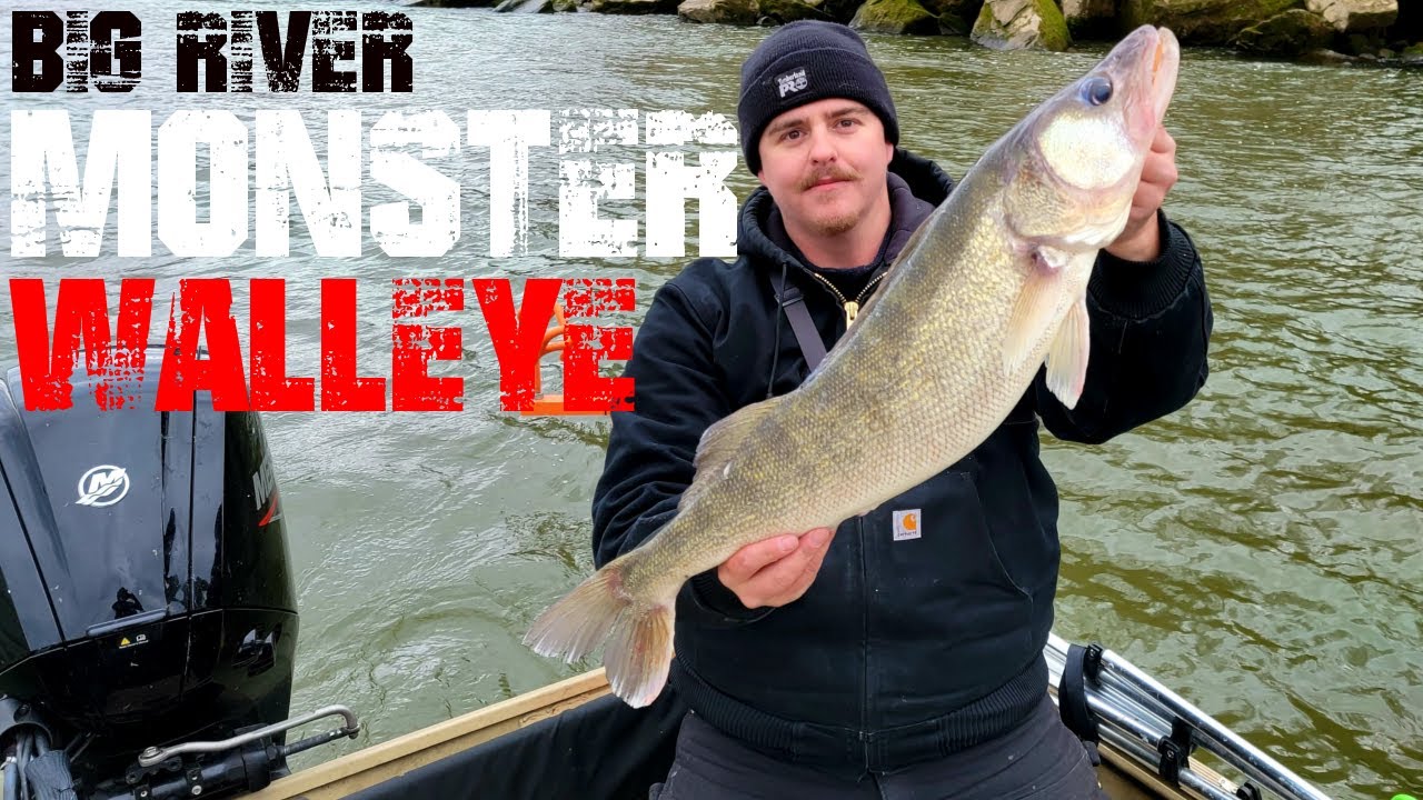 BACK to BACK GIANT OHIO RIVER WALLEYE - 30 INCHERS (2day trip)