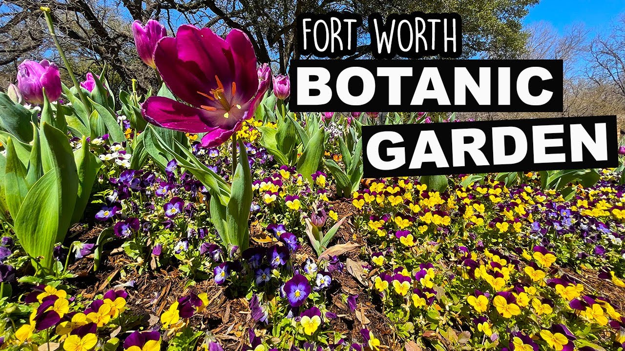 Spring Is Here At The Fort Worth Botanic Garden | Big Bugs Exhibit