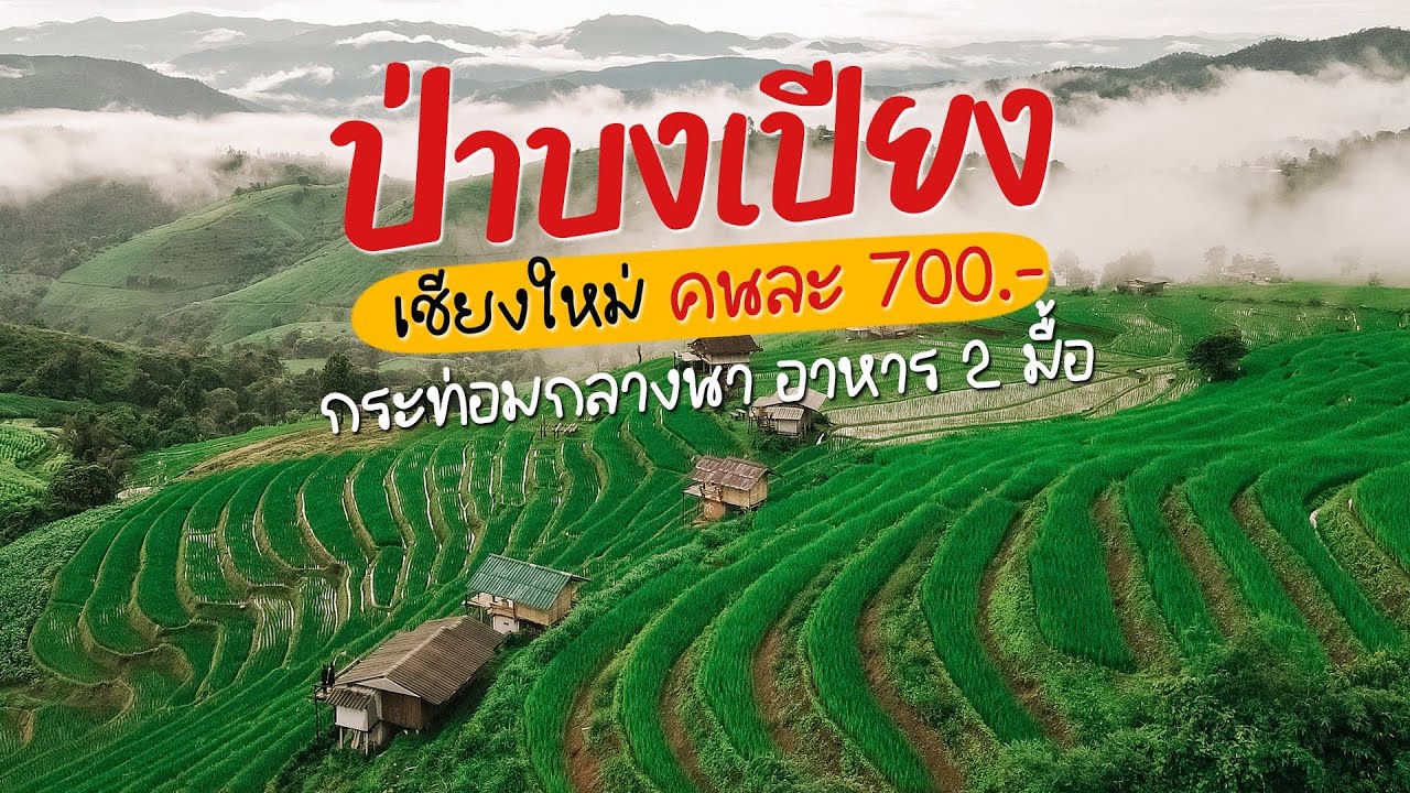 ป่าบงเปียง เชียงใหม่ คนละ 700 | จะออกไปแตะขอบฟ้า