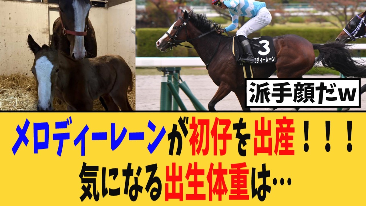 【朗報】メロディーレーンが初仔を出産！！！気になる出生体重は・・・【競馬反応集】